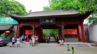 小雁塔 景点图 232_2