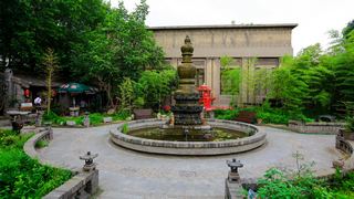 小雁塔 景点图 232_8