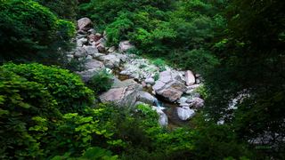 南坪村黑龙潭瀑布群 景点图 234_13