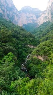 云台山 狝猴谷 景点图 238_10