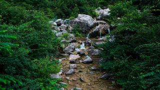 云台山 狝猴谷 景点图 238_20