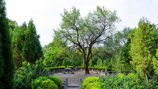 嵩阳书院 景点图 245_4