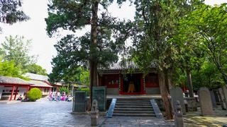 嵩阳书院 景点图 245_7