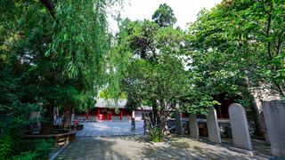 嵩阳书院 景点图 245_10