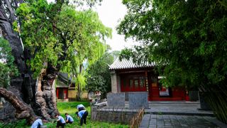 嵩阳书院 景点图 245_14