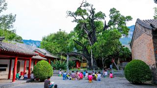 嵩阳书院 景点图 245_16