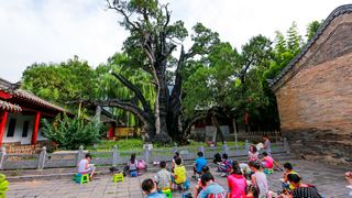 嵩阳书院 景点图 245_17