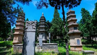 少林寺塔林 景点图 247_2