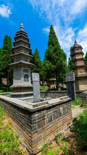 少林寺塔林 景点图 247_3