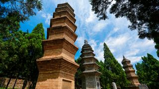 少林寺塔林 景点图 247_4