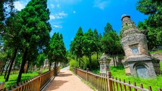 少林寺塔林 景点图 247_5