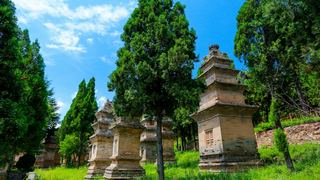少林寺塔林 景点图 247_7