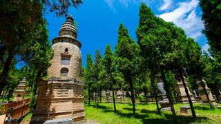 少林寺塔林 景点图 247_14