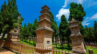 少林寺塔林 景点图 247_15