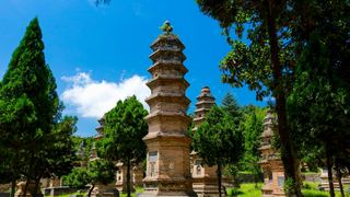 少林寺塔林 景点图 247_16
