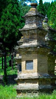 少林寺塔林 景点图 247_17