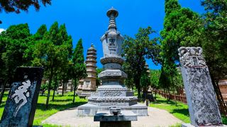 少林寺塔林 景点图 247_18