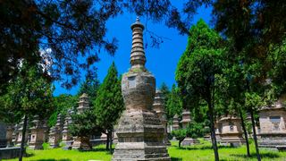 少林寺塔林 景点图 247_20