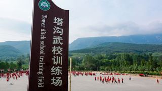 嵩山少林寺 景点图 249_10