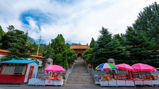 法王寺 景点图 250_5