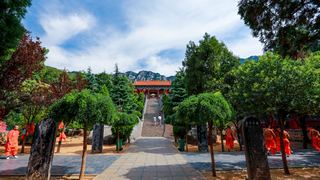 法王寺 景点图 250_12