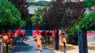 法王寺 景点图 250_14