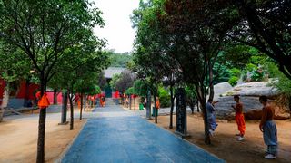 法王寺 景点图 250_15