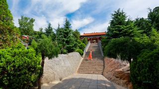 法王寺 景点图 250_16