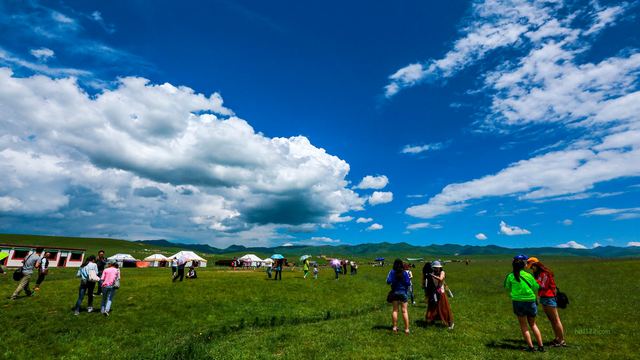 夏河县桑科草原