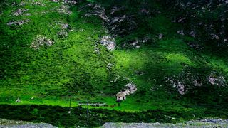 西宁至门源沿途美景 景点图 253_19