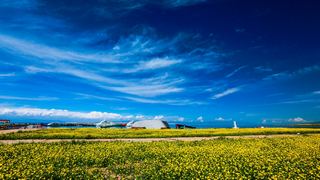 青海湖、七月油菜花 景点图 255_9