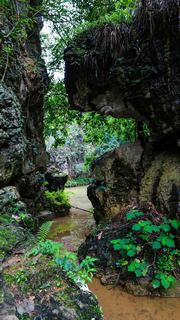 天星桥 景点图 26_4