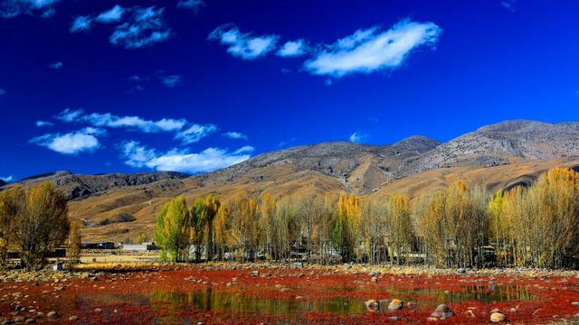 红草地~四川甘孜州