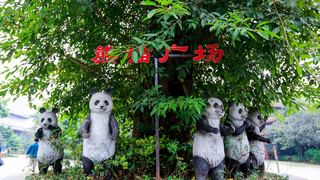 峨眉山仙芝竹尖恐龙博物馆 景点图 264_9