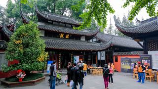 文殊院 景点图 265_5