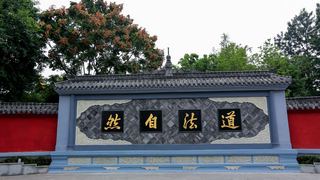 青羊宫 景点图 267_2