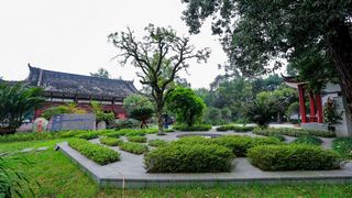 青羊宫 景点图 267_7