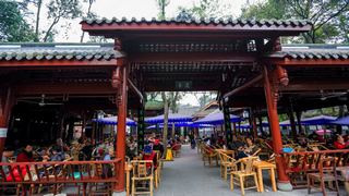 青羊宫 景点图 267_13