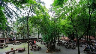 青羊宫 景点图 267_14
