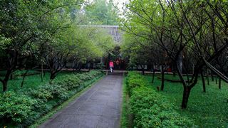杜甫草堂 景点图 268_4