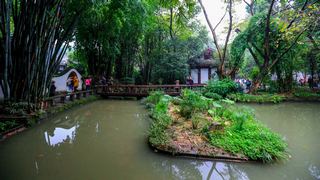 杜甫草堂 景点图 268_13