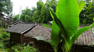 岜沙苗寨 景点图 27_12