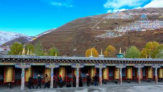 塔公寺、塔公草原 景点图 273_19