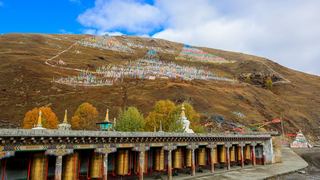 塔公寺、塔公草原 景点图 273_20