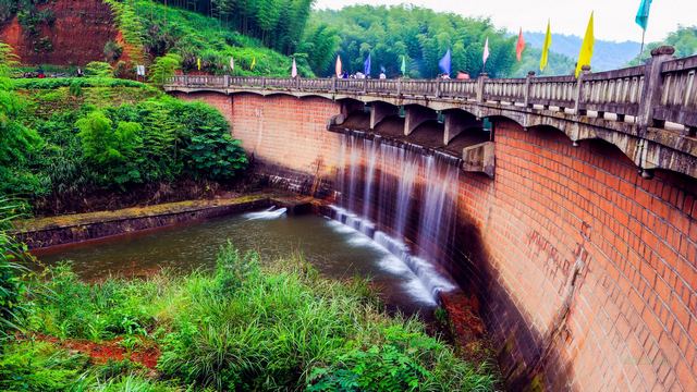 赤水竹海国家森林公园