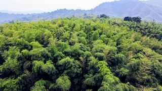 赤水竹海国家森林公园 景点图 28_3