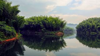 赤水竹海国家森林公园 景点图 28_7