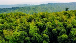 赤水竹海国家森林公园 景点图 28_16