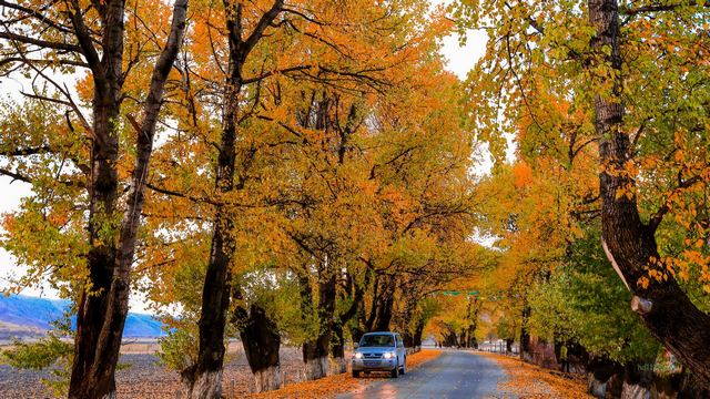 新都桥“十里画廊”