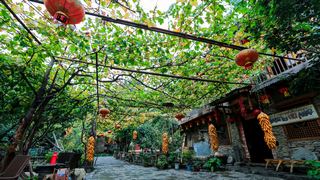 桃坪羌寨 景点图 287_11